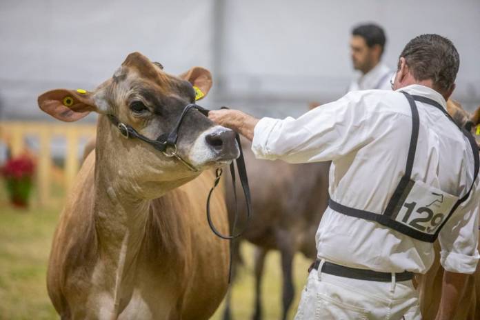 Querétaro Y Aguascalientes Campeones En Jersey En Feria Querétaro 2019