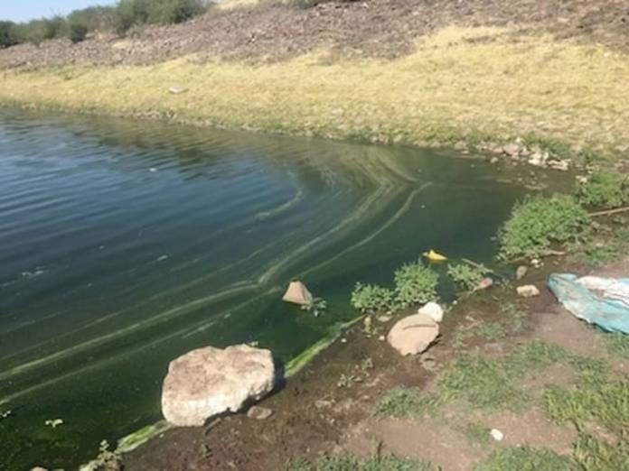 Denuncian Contaminacion Por Aguas Negras En Bordo De El Salitre Queretaro