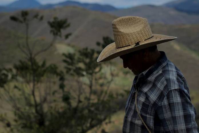 Pronostican Temperaturas De 40 Grados En La Sierra Gorda Queretana