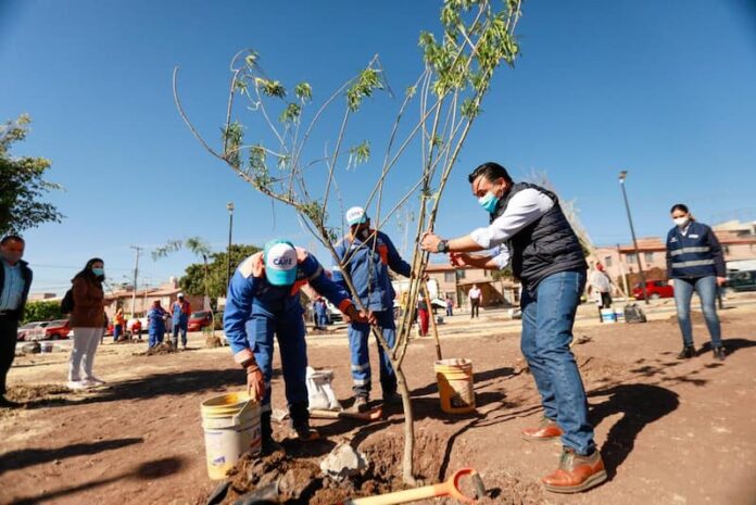 Jornada de reforestación en parque Choles de Cerrito Colorado, Querétaro