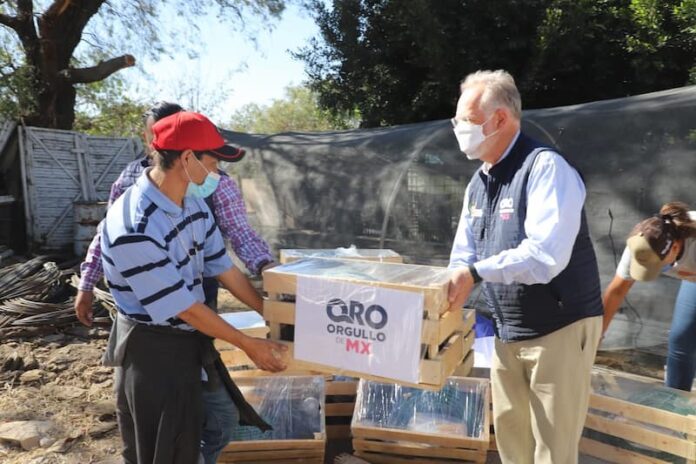 SEDEA realizó entrega de 202 huertos familiares en Querétaro y Huimilpan