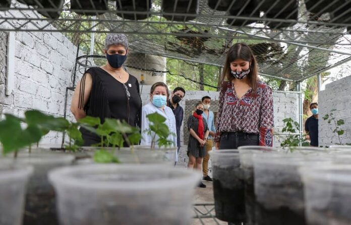 Inauguran Vivero en prepa sur de la UAQ