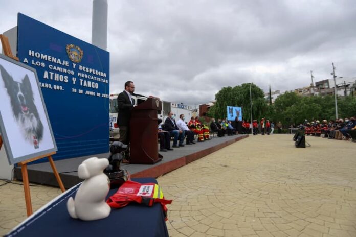 Municipio de QRO participó en homenaje a los caninos Athos y Tango