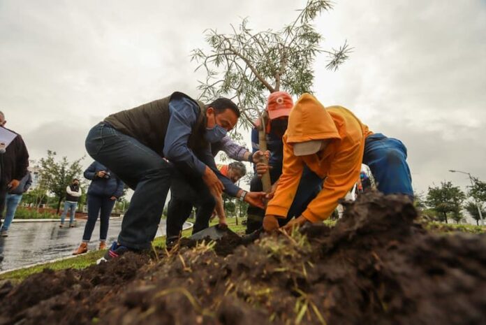 Conmemora el Municipio de Querétaro el Día Nacional del Árbol