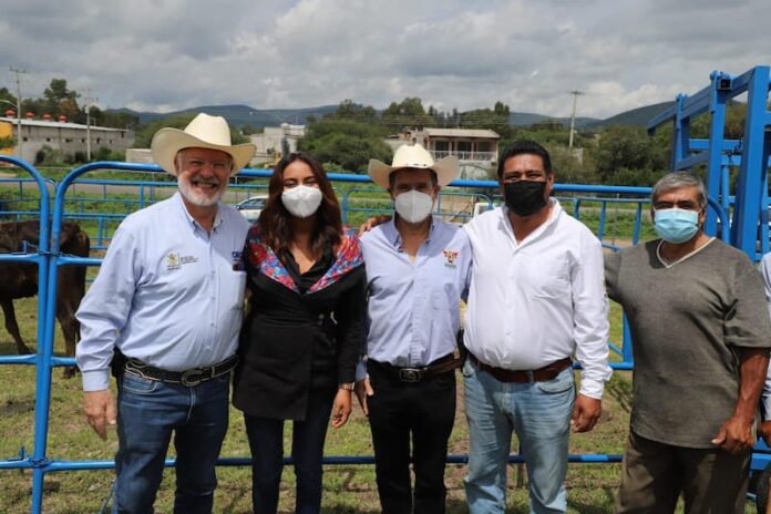SEDEA entrega apoyos a productores ganaderos de Colón