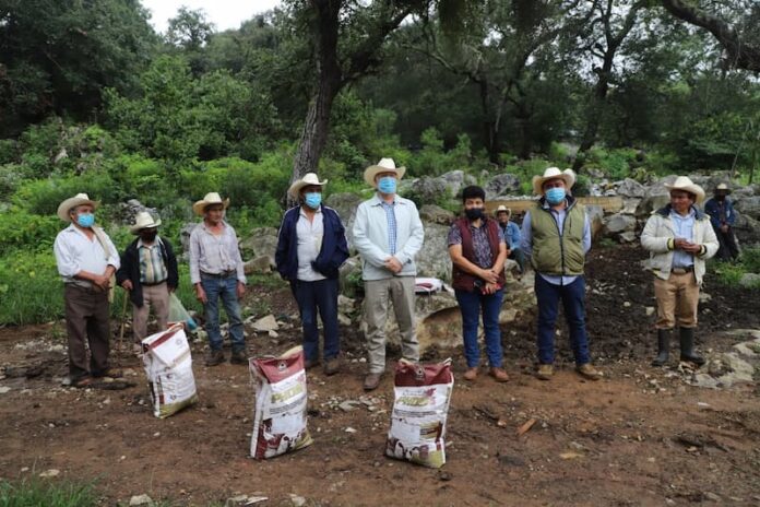 Se entregaron fertilizantes orgánico y semillas en Jalpan de Serra