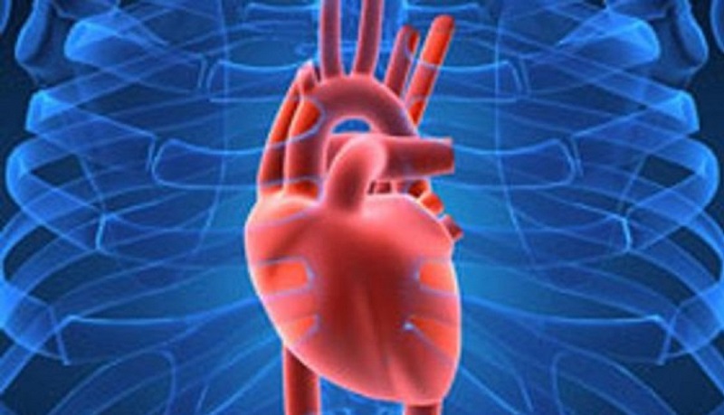 La hipertensión arterial, es un factor de riesgo cardiovascular frecuente ¡Cuídate!