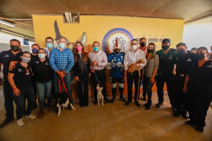 Municipio de Qro apoya en estancia de mascotas en la Zona Pet Friendly del Estadio Corregidora