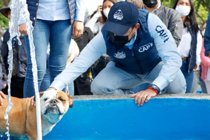Roberto Sosa entregó parque para perros en colonia Lomas de Balvanera