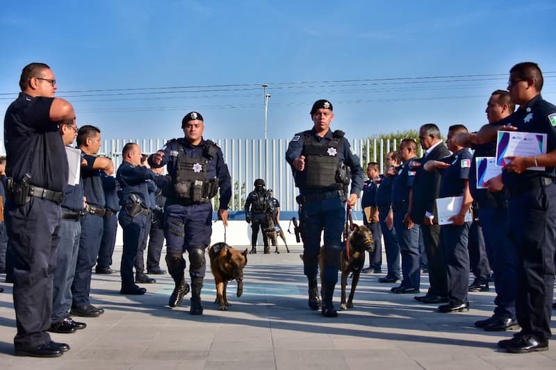 Elementos caninos de la Policía Municipal de Corregidora finalizan su labor de servicio