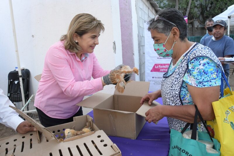 Con aves de postura, DIF Tequisquiapan impulsa la economía y alimentación de las familias