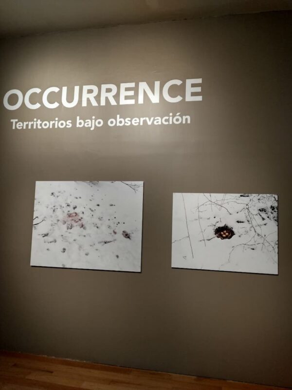 SECULT presentó la exposición “Ocurrencia. Territorios bajo observación”