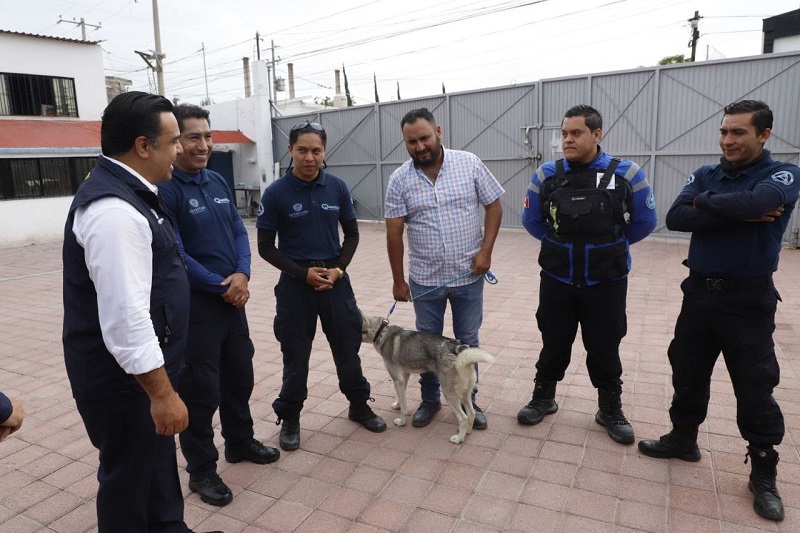 Querétaro lider en Protección y Cuidado Animal, asegura Luis Nava