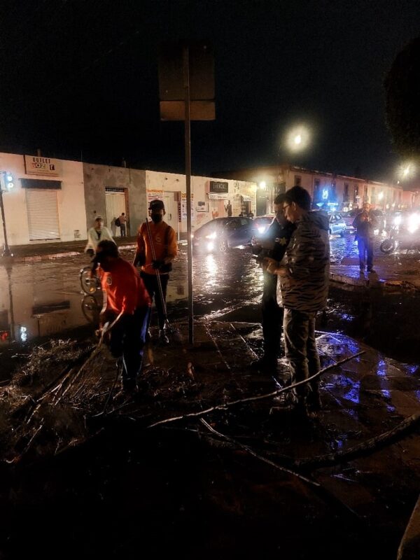 Reporte de lluvias en Queretaro Arboles caidos y acciones de coordinacion 1