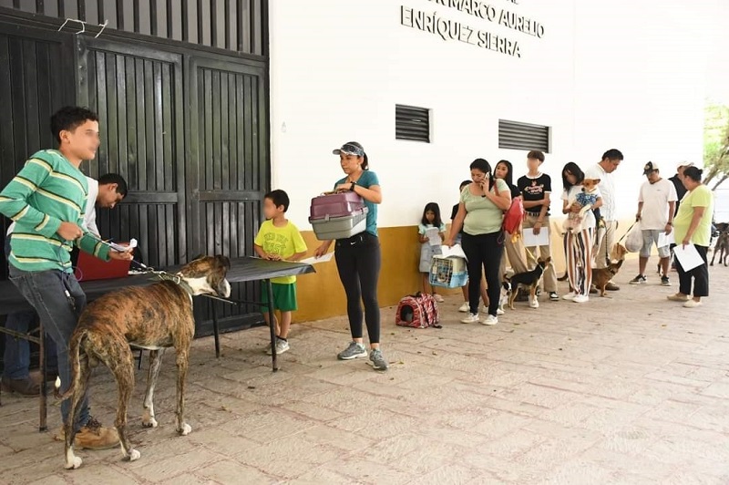 SESA lidera Jornada de Esterilización para caninos y felinos en Jalpan de Serra