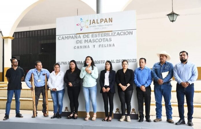 SESA lidera Jornada de Esterilización para caninos y felinos en Jalpan de Serra
