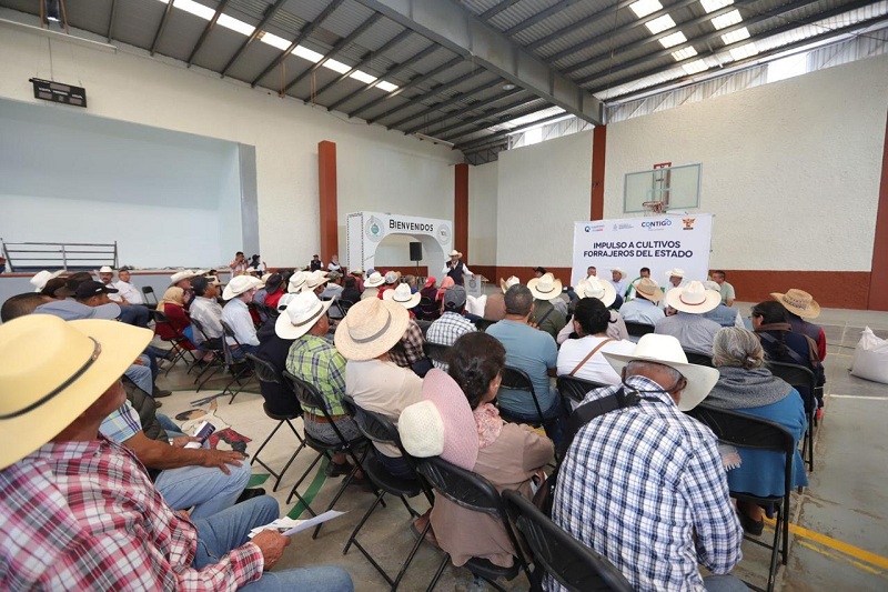 SEDEA concluye programa emergente de semilla para forraje en el estado de Querétaro